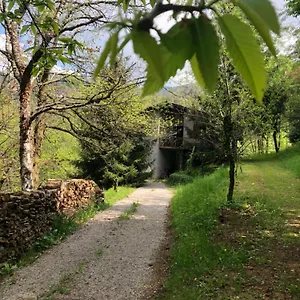  Casa vacanze La Casa Nel Bosco - Brione